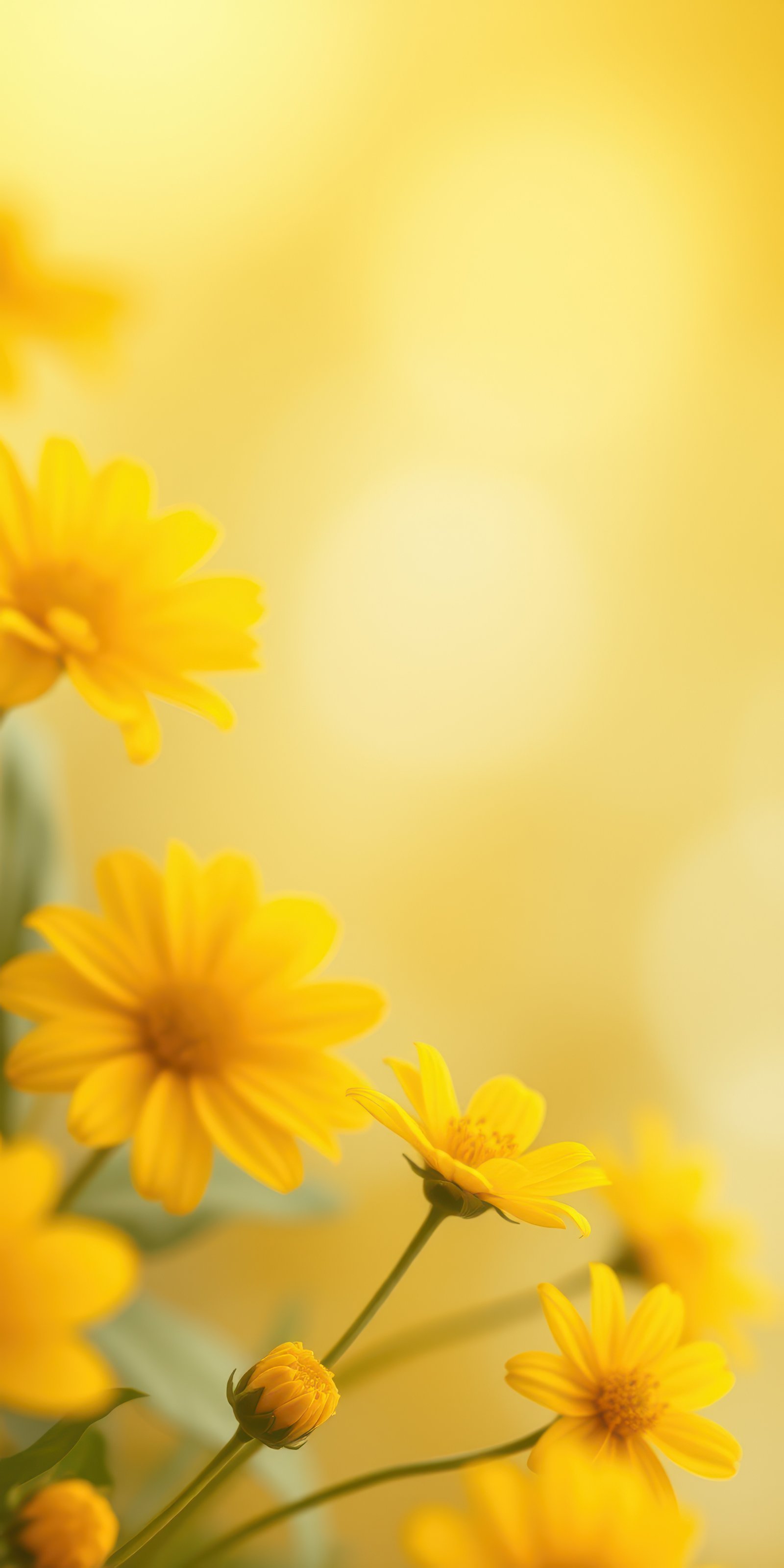 Bright yellow flowers blooming in a sunny garden full of natural light and beauty during the spring season